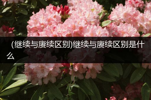 （继续与赓续区别)继续与赓续区别是什么