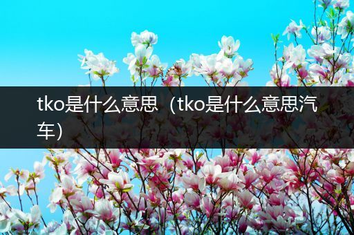 tko是什么意思（tko是什么意思汽车）
