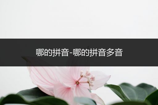 哪的拼音-哪的拼音多音