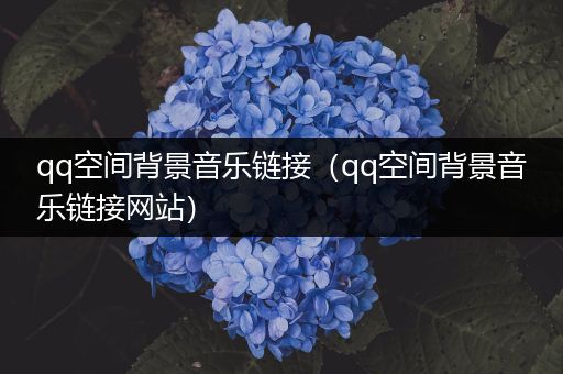 qq空间背景音乐链接（qq空间背景音乐链接网站）