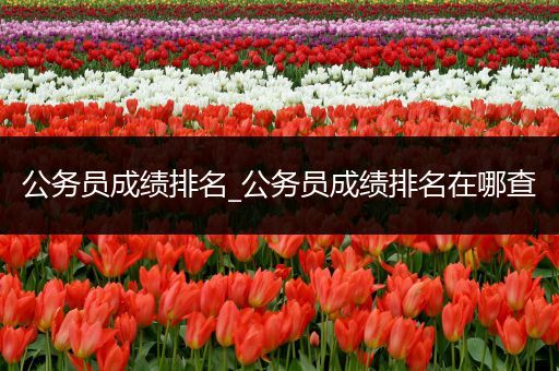 公务员成绩排名_公务员成绩排名在哪查