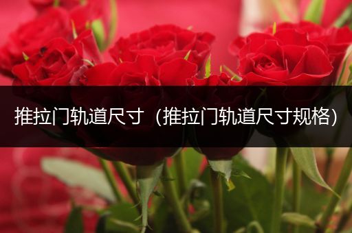推拉门轨道尺寸（推拉门轨道尺寸规格）