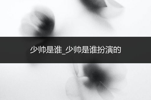 少帅是谁_少帅是谁扮演的
