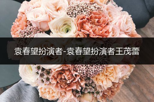 袁春望扮演者-袁春望扮演者王茂蕾