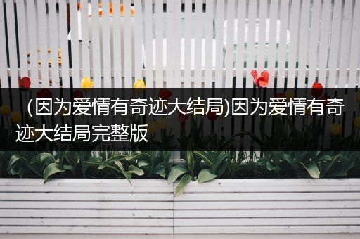 （因为爱情有奇迹大结局)因为爱情有奇迹大结局完整版