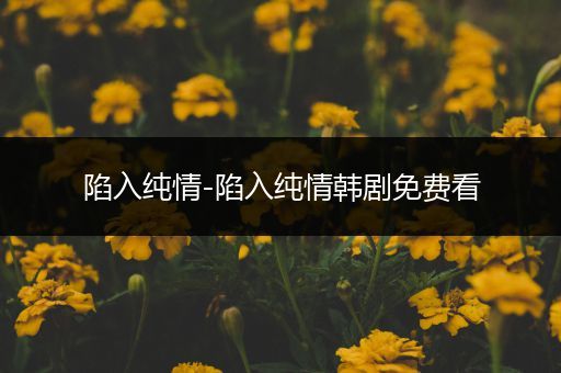 陷入纯情-陷入纯情韩剧免费看
