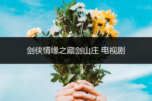 剑侠情缘之藏剑山庄 电视剧