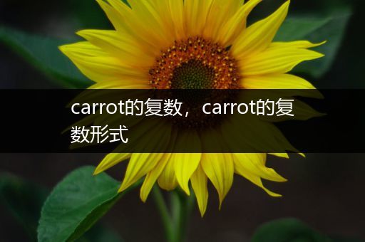 carrot的复数，carrot的复数形式