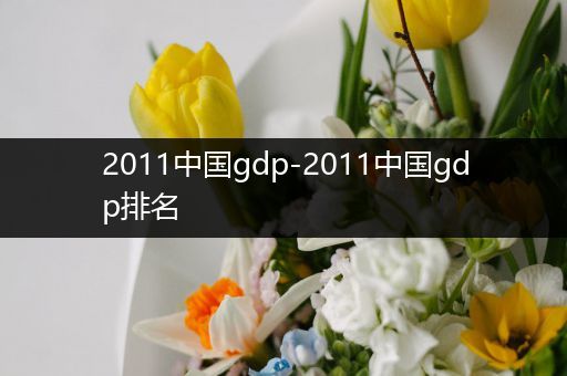 2011中国gdp-2011中国gdp排名