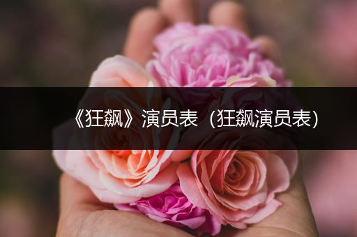 《狂飙》演员表（狂飙演员表）