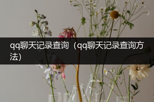 qq聊天记录查询（qq聊天记录查询方法）