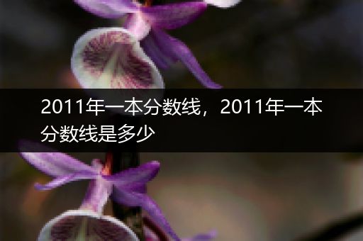 2011年一本分数线，2011年一本分数线是多少