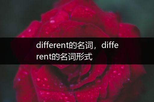 different的名词，different的名词形式