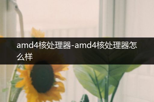 amd4核处理器-amd4核处理器怎么样