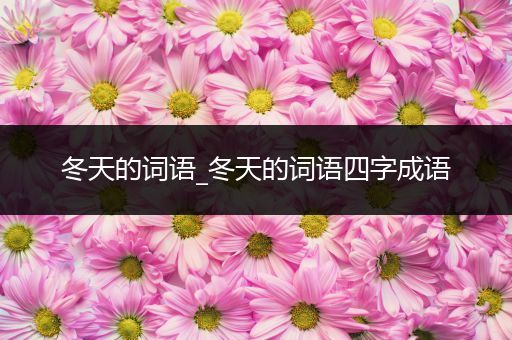 冬天的词语_冬天的词语四字成语