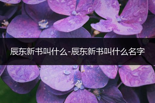 辰东新书叫什么-辰东新书叫什么名字