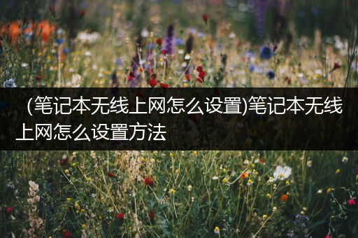 （笔记本无线上网怎么设置)笔记本无线上网怎么设置方法