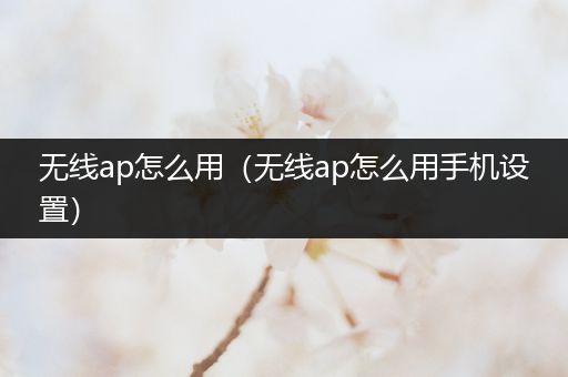 无线ap怎么用（无线ap怎么用手机设置）