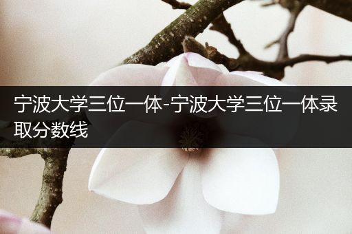 宁波大学三位一体-宁波大学三位一体录取分数线