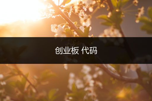 创业板 代码