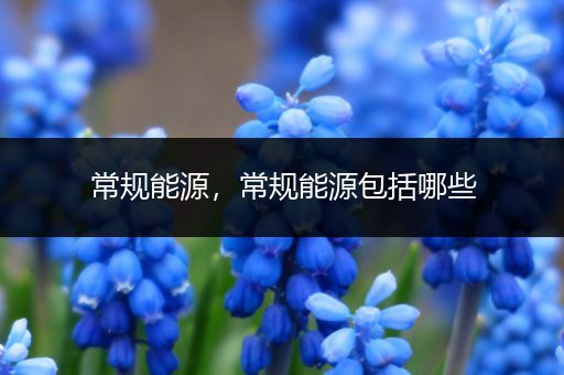 常规能源，常规能源包括哪些