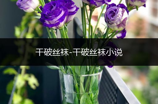 干破丝袜-干破丝袜小说
