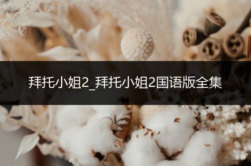 拜托小姐2_拜托小姐2国语版全集