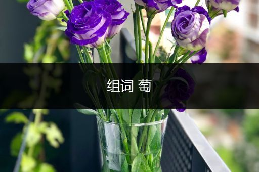 组词 萄