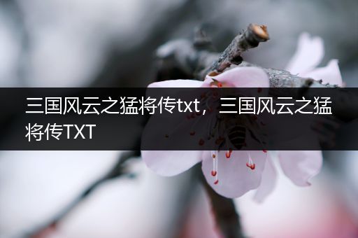 三国风云之猛将传txt，三国风云之猛将传TXT