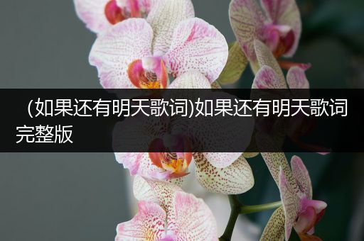 （如果还有明天歌词)如果还有明天歌词完整版