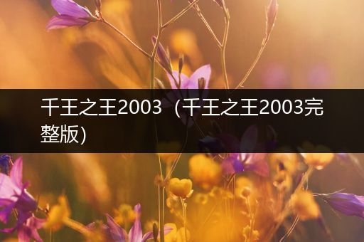 千王之王2003（千王之王2003完整版）