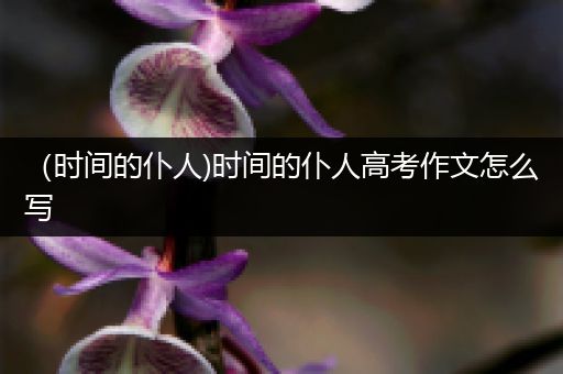 （时间的仆人)时间的仆人高考作文怎么写