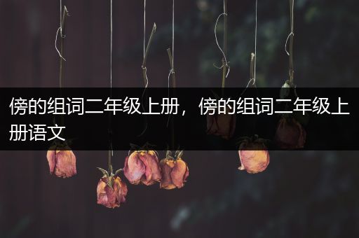 傍的组词二年级上册，傍的组词二年级上册语文