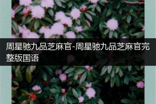 周星驰九品芝麻官-周星驰九品芝麻官完整版国语
