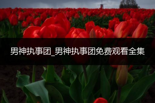男神执事团_男神执事团免费观看全集