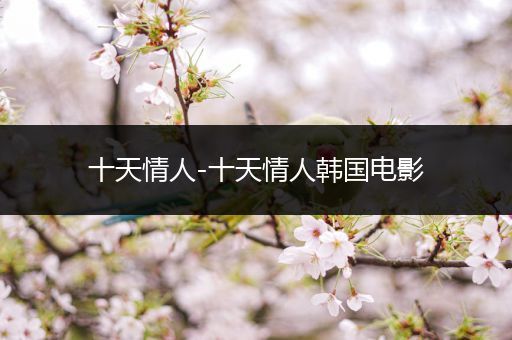 十天情人-十天情人韩国电影