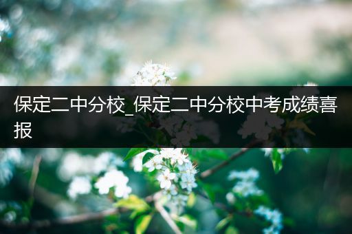 保定二中分校_保定二中分校中考成绩喜报