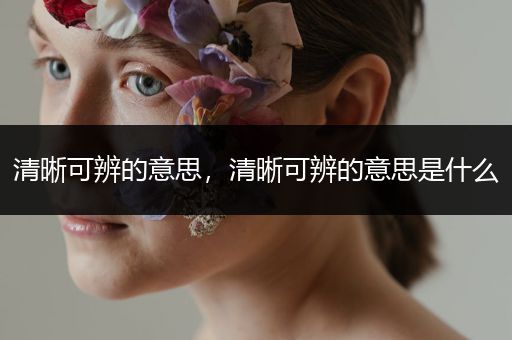 清晰可辨的意思，清晰可辨的意思是什么