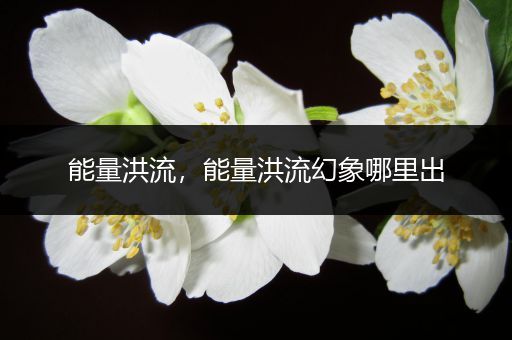 能量洪流，能量洪流幻象哪里出