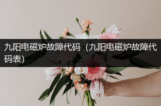 九阳电磁炉故障代码（九阳电磁炉故障代码表）