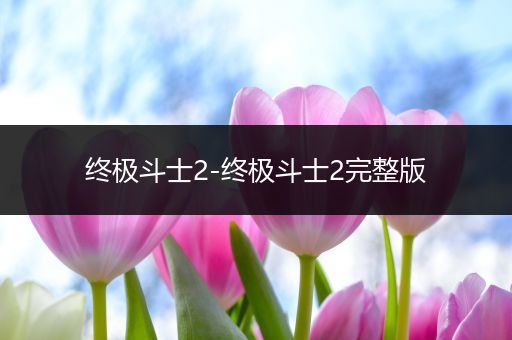 终极斗士2-终极斗士2完整版