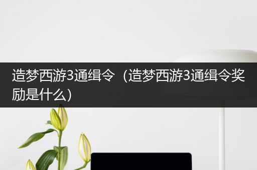 造梦西游3通缉令（造梦西游3通缉令奖励是什么）