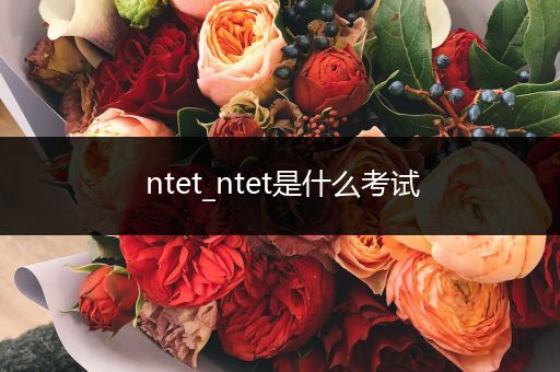 ntet_ntet是什么考试