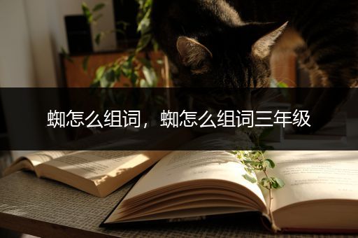 蜘怎么组词，蜘怎么组词三年级