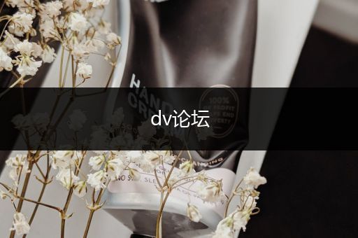 dv论坛