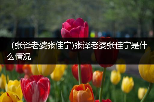 （张译老婆张佳宁)张译老婆张佳宁是什么情况