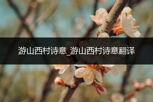游山西村诗意_游山西村诗意翻译
