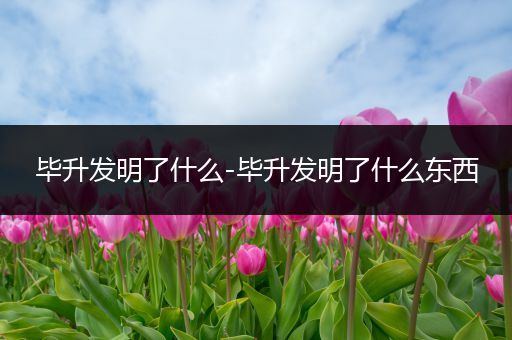 毕升发明了什么-毕升发明了什么东西