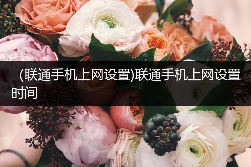 （联通手机上网设置)联通手机上网设置时间