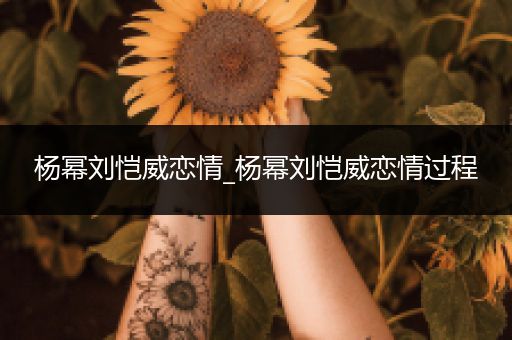 杨幂刘恺威恋情_杨幂刘恺威恋情过程